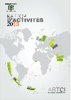 icone 2013 200